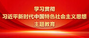 性感骚妇被大鸡巴被草呻吟学习贯彻习近平新时代中国特色社会主义思想主题教育_fororder_ad-371X160(2)